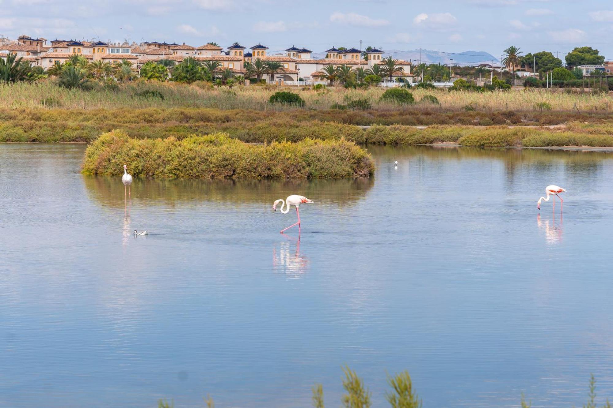 Menabrea Holiday House Near The Beach And Airport Santa Pola Esterno foto